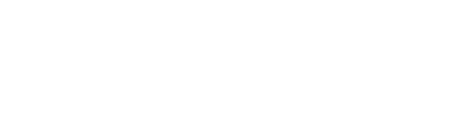 safeactionenergy.com.br